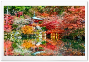 Nature, Park, Autumn Ultra HD Wallpaper for 4K UHD Widescreen desktop, tablet & smartphone