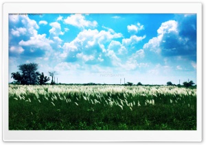 nature view Ultra HD Wallpaper for 4K UHD Widescreen desktop, tablet & smartphone