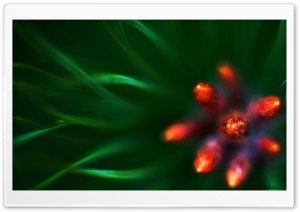 Needles Ultra HD Wallpaper for 4K UHD Widescreen desktop, tablet & smartphone