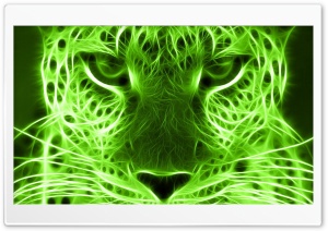 Neon Cat Ultra HD Wallpaper for 4K UHD Widescreen desktop, tablet & smartphone