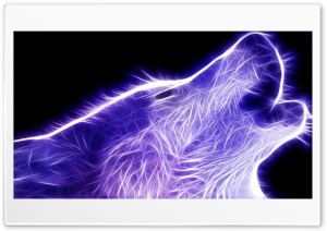 Neon Wolf Ultra HD Wallpaper for 4K UHD Widescreen desktop, tablet & smartphone