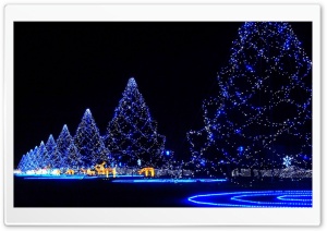 Neon xmas trees Ultra HD Wallpaper for 4K UHD Widescreen desktop, tablet & smartphone