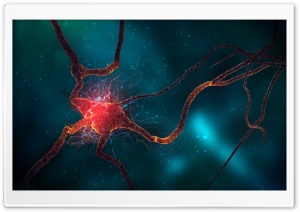 Neuron Ultra HD Wallpaper for 4K UHD Widescreen desktop, tablet & smartphone