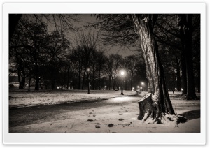 New York City, Central Park Footsteps Ultra HD Wallpaper for 4K UHD Widescreen desktop, tablet & smartphone