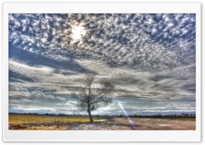 Nice Clouds Ultra HD Wallpaper for 4K UHD Widescreen desktop, tablet & smartphone