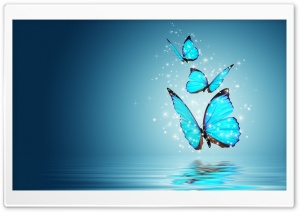 Nice Picture Ultra HD Wallpaper for 4K UHD Widescreen desktop, tablet & smartphone
