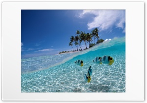 Nice picture 3 Ultra HD Wallpaper for 4K UHD Widescreen desktop, tablet & smartphone