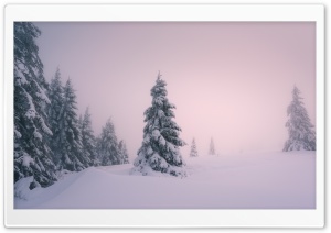 Nice Winter Scenery Ultra HD Wallpaper for 4K UHD Widescreen desktop, tablet & smartphone