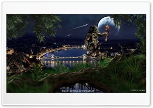 Night hunting of predators Ultra HD Wallpaper for 4K UHD Widescreen desktop, tablet & smartphone