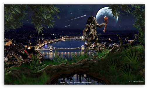 Night hunting of predators UltraHD Wallpaper for Mobile 16:9 - 2160p 1440p 1080p 900p 720p ;