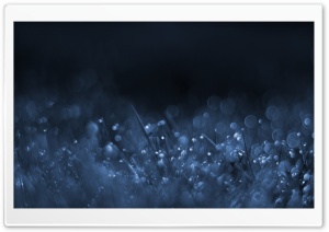 Night Sparkles Ultra HD Wallpaper for 4K UHD Widescreen desktop, tablet & smartphone