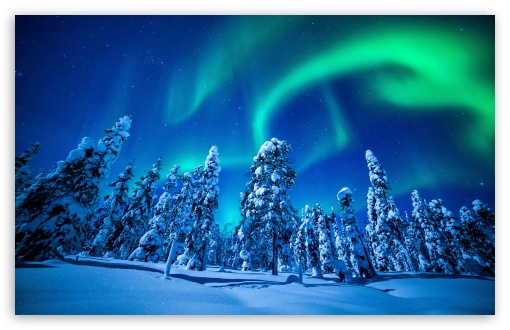 Northern Lights Over Forest, Winter UltraHD Wallpaper for Wide 16:10 5:3 Widescreen WHXGA WQXGA WUXGA WXGA WGA ; 8K UHD TV 16:9 Ultra High Definition 2160p 1440p 1080p 900p 720p ; Standard 4:3 5:4 3:2 Fullscreen UXGA XGA SVGA QSXGA SXGA DVGA HVGA HQVGA ( Apple PowerBook G4 iPhone 4 3G 3GS iPod Touch ) ; Smartphone 5:3 WGA ; Tablet 1:1 ; iPad 1/2/Mini ; Mobile 4:3 5:3 3:2 16:9 5:4 - UXGA XGA SVGA WGA DVGA HVGA HQVGA ( Apple PowerBook G4 iPhone 4 3G 3GS iPod Touch ) 2160p 1440p 1080p 900p 720p QSXGA SXGA ; Dual 16:10 5:3 16:9 4:3 5:4 WHXGA WQXGA WUXGA WXGA WGA 2160p 1440p 1080p 900p 720p UXGA XGA SVGA QSXGA SXGA ;