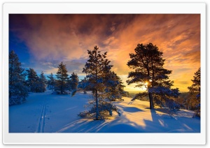 Norway Naglestadheia Ultra HD Wallpaper for 4K UHD Widescreen desktop, tablet & smartphone