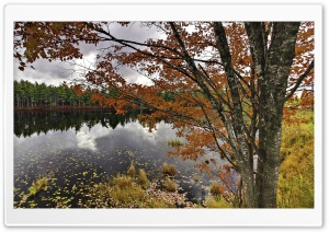 Nova Scotia, Canada, Autumn Ultra HD Wallpaper for 4K UHD Widescreen desktop, tablet & smartphone