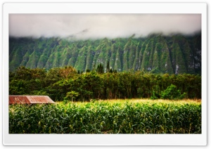 Oahu Highlands Ultra HD Wallpaper for 4K UHD Widescreen desktop, tablet & smartphone