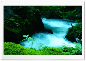 Oirase Mountain stream, Japan Ultra HD Wallpaper for 4K UHD Widescreen desktop, tablet & smartphone