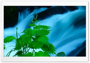 Oirase Mountain stream, Japan Ultra HD Wallpaper for 4K UHD Widescreen desktop, tablet & smartphone