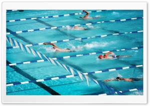 Olympic Swimming Pool Ultra HD Wallpaper for 4K UHD Widescreen desktop, tablet & smartphone