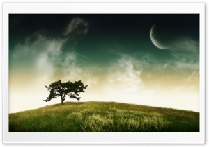 On The Meadow Ultra HD Wallpaper for 4K UHD Widescreen desktop, tablet & smartphone