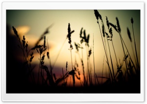 One Last Breath Ultra HD Wallpaper for 4K UHD Widescreen desktop, tablet & smartphone