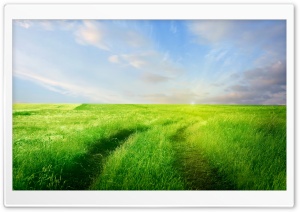 Open Skies Ultra HD Wallpaper for 4K UHD Widescreen desktop, tablet & smartphone