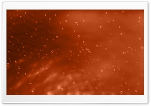 Orange Background With Bubbles Ultra HD Wallpaper for 4K UHD Widescreen desktop, tablet & smartphone