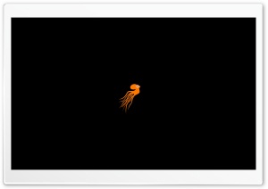 Orange Octopus Ultra HD Wallpaper for 4K UHD Widescreen desktop, tablet & smartphone