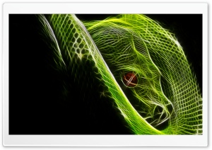 Other Snake Ultra HD Wallpaper for 4K UHD Widescreen desktop, tablet & smartphone