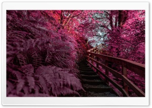 Outdoor Stairs Ultra HD Wallpaper for 4K UHD Widescreen desktop, tablet & smartphone