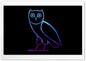 Ovo Owl Ultra HD Wallpaper for 4K UHD Widescreen desktop, tablet & smartphone