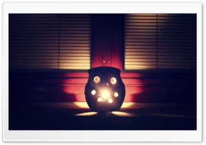 Owl Ultra HD Wallpaper for 4K UHD Widescreen desktop, tablet & smartphone