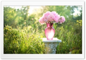 Pale Pink Peonies Bouquet Ultra HD Wallpaper for 4K UHD Widescreen desktop, tablet & smartphone