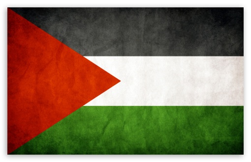 Palestine flag UltraHD Wallpaper for Wide 16:10 Widescreen WHXGA WQXGA WUXGA WXGA ;
