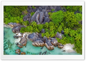 Palm Trees Ultra HD Wallpaper for 4K UHD Widescreen desktop, tablet & smartphone
