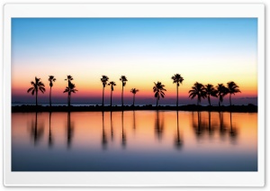 Palm Trees Background Ultra HD Wallpaper for 4K UHD Widescreen desktop, tablet & smartphone