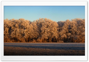 Panoramic View Of Nature Ultra HD Wallpaper for 4K UHD Widescreen desktop, tablet & smartphone