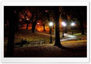 Park At Night Ultra HD Wallpaper for 4K UHD Widescreen desktop, tablet & smartphone