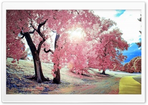 Park Walk Ultra HD Wallpaper for 4K UHD Widescreen desktop, tablet & smartphone