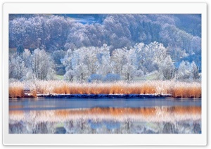 Pastel   Snow Ultra HD Wallpaper for 4K UHD Widescreen desktop, tablet & smartphone