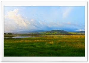 Pasture Near Lake Ultra HD Wallpaper for 4K UHD Widescreen desktop, tablet & smartphone