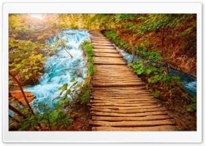 Path Ultra HD Wallpaper for 4K UHD Widescreen desktop, tablet & smartphone