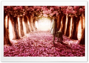 Path Ultra HD Wallpaper for 4K UHD Widescreen desktop, tablet & smartphone