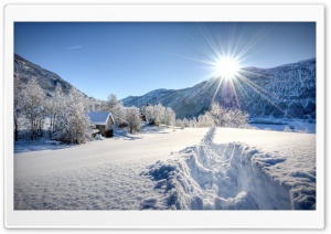 Path In The Snow Ultra HD Wallpaper for 4K UHD Widescreen desktop, tablet & smartphone