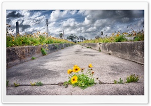 Pathway to Heaven Ultra HD Wallpaper for 4K UHD Widescreen desktop, tablet & smartphone