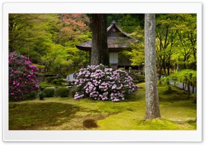 Peaceful Asian Garden Ultra HD Wallpaper for 4K UHD Widescreen desktop, tablet & smartphone