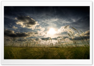 Peaceful Summer Day Ultra HD Wallpaper for 4K UHD Widescreen desktop, tablet & smartphone