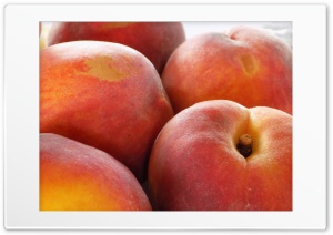 peach Ultra HD Wallpaper for 4K UHD Widescreen desktop, tablet & smartphone