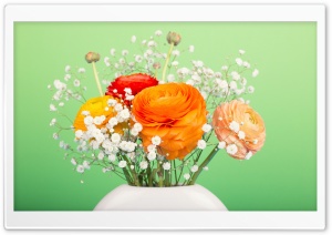 Persian Buttercup Bouquet Ultra HD Wallpaper for 4K UHD Widescreen desktop, tablet & smartphone