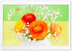 Persian Buttercup Bouquet in a Vase Ultra HD Wallpaper for 4K UHD Widescreen desktop, tablet & smartphone