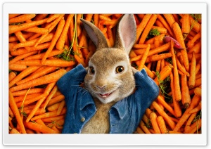 Peter Rabbit Movie 2018 Ultra HD Wallpaper for 4K UHD Widescreen desktop, tablet & smartphone